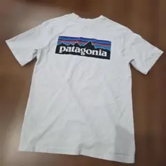 【訳あり】patagonia　パタゴニア　Tシャツ