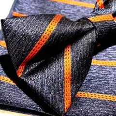 ◆蝶ネクタイ　ネイビー　ブルー 2点 セット チーフ付 メンズ　結婚式　snu