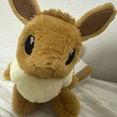 ポケモン くたくたたった! ぬいぐるみ S Mイーブイ セット - メルカリ