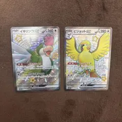 イキリンコ ピジョットex SSR SV4a シャイニートレジャーex鳥セット