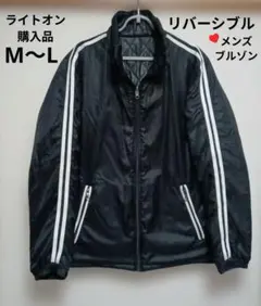 Item thumbnail for item f1a2010b-c73c-4034-b54b-fa7420eb9cd1