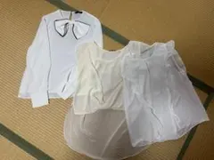 Item thumbnail for item 249202ef-e95c-49fe-8ca3-8b38a89f026a