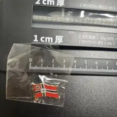 旧ドイツ軍　ピンバッジ　99-4