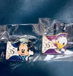 ディズニー 35周年☆  ピンバッチ