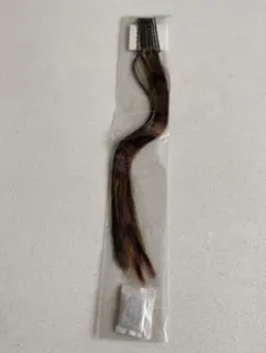 Item thumbnail for item 5ea81859-b295-4614-8c01-6f958f08a44d