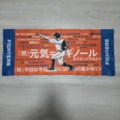 2026年最新】杉谷拳士 タオルの人気アイテム - メルカリ