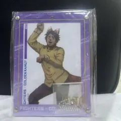 Item thumbnail for item ad898b66-d31c-4995-9c62-c26748b36c93