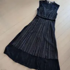Rose Dressis ノースリーブ 刺繍レースワンピース ブラックのサムネイル