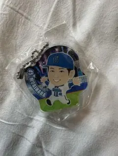 Item thumbnail for item 6859c8c9-dcb5-4bd0-966a-73c3beb5bda8