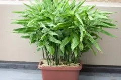 うえの　まり様 リクエスト 3点 まとめ商品