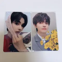 ALD1 リオ トレカ くまさん makestar