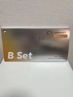 Cerakey B SET-TKL-Matte V2 White 即日発送可能