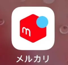 alice♡即購入OK様ご専用ページ