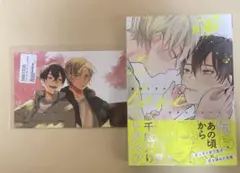 カタコイシーソー