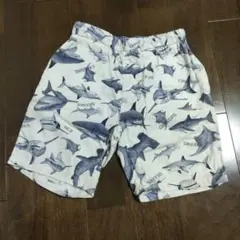 Ocean & Ground サメ柄 半ズボン　110