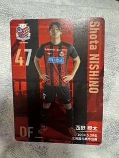 北海道コンサドーレ札幌 コンサドーレ札幌 太鼓判カード 西野奨太