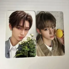 ald1 タレントカード