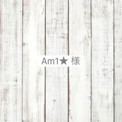 Am1★様　専用