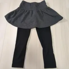 anyfam 120 スカッツ