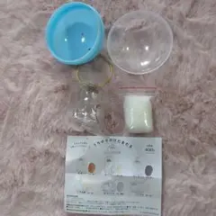 ✳うちの子けだまだま✳シャム✳