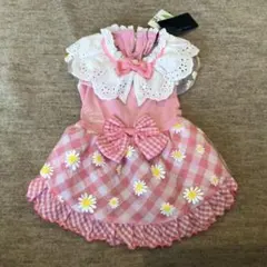 Item thumbnail for item 49e1ac99-3c14-488a-a6e0-97dba53f9ae3