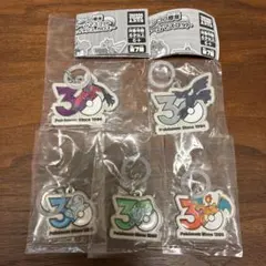 ポケモン 30周年 チャーム5種セット