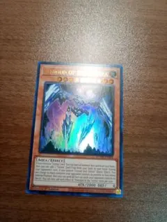 トーメント 壊滅的な夢b 日本語 1枚 MTG - メルカリ