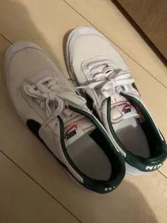 Item thumbnail for item 394cf9ac-c798-40d1-a57e-b31601ff1a70