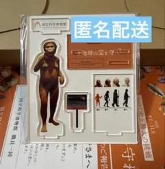 2026年最新】国立科学博物館 返礼品の人気アイテム - メルカリ