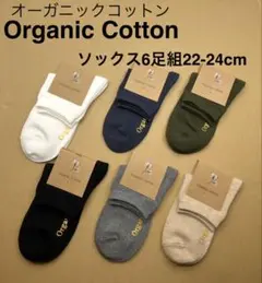 オーガニックコットンソックス 6足組22-24cm