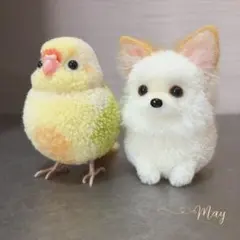ペンペン様専用ページ　139 ウロコインコ　チワワ　ぽんぽん