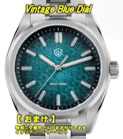 【値下げ】Watchdives WD0003B‌アベンチュリン・ダイヤル腕時計