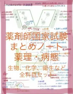 薬剤師国家試験 薬学まとめノート全科目セット 薬学部