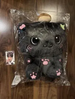 NCTWISH wishbakery 30cm wishdoll リク クリ NCTWISH wishbakery 30cm wishdoll リク クリ - メルカリ