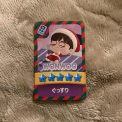 seventeen ウォヌ タレントカード