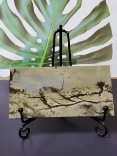 台座つき❣️ピクチャージャスパー