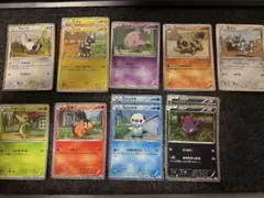 ポケモンカード BWコレクションシート 旅立ちの仲間 まとめ売り CS1