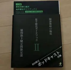 園部俊晴の臨床『徒手療法ガイドブック II』膝関節・下腿・足関節・足 