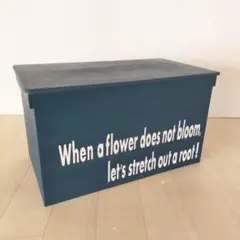 34*《収納BOX》 りんご箱 宅配 仕切り 木箱 インテリア 小物入れ