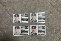 ALPHADRIVEONE ALD1 ゴヌ IDカード トレカ