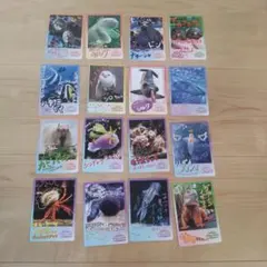 ノーマルコンプセット41枚 鳥羽水族館コレクションカード2(バラ売り可