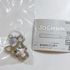 JOCHUM めじるしアクセサリー2 チュララ　ジェオチャム　ガチャ　めじるし