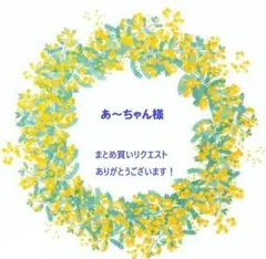 あ〜ちゃん様 リクエスト 2点 まとめ商品