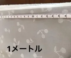 Item thumbnail for item 371e1b9e-20f9-4034-9ec5-7d4539d1b882