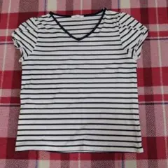 ストライプ Vネック Tシャツ 半袖