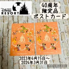 【新品・未使用・東京ディズニーリゾート・限定品 】40周年記念ポストカードセット