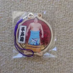 Item thumbnail for item eae5e551-b220-4885-a518-6f0872cc1e0d