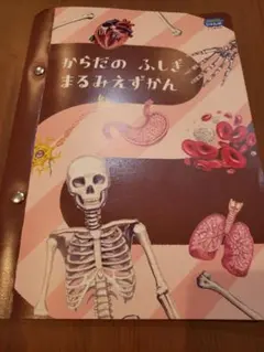 こどもちゃれんじじゃんぷ からだのふしぎまるみえずかん Gakkenからだスーツ