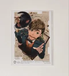 2026年最新】ファンタスティックビーストピケットの人気アイテム