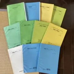 2025年最新】SEG物理の人気アイテム - メルカリ